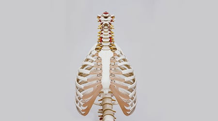 Anatomy of A Great API Banner