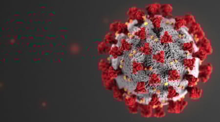 Codid Dashboard Head