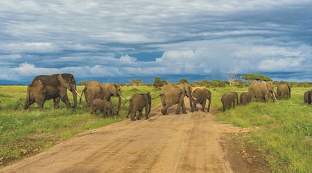 Team Building Activities Blog Banner