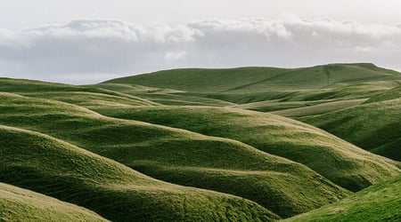 Thriving in A Tempest Blog Banner